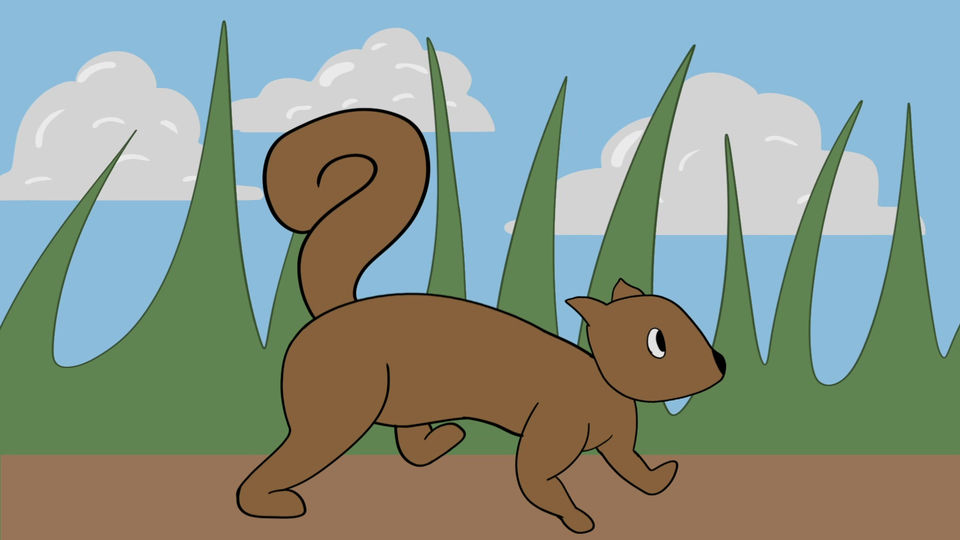 Squirrel Walk